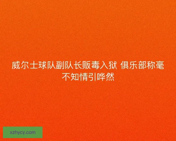 威尔士球队副队长贩毒入狱 俱乐部称毫不知情引哗然