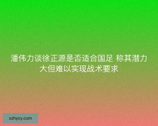 潘伟力谈徐正源是否适合国足 称其潜力大但难以实现战术要求